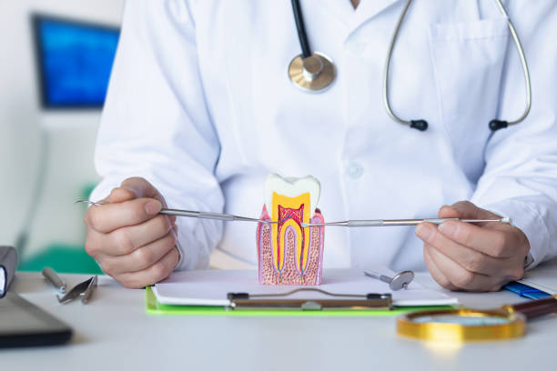 Best Pediatric Emergency Dentist in Center Point, TX